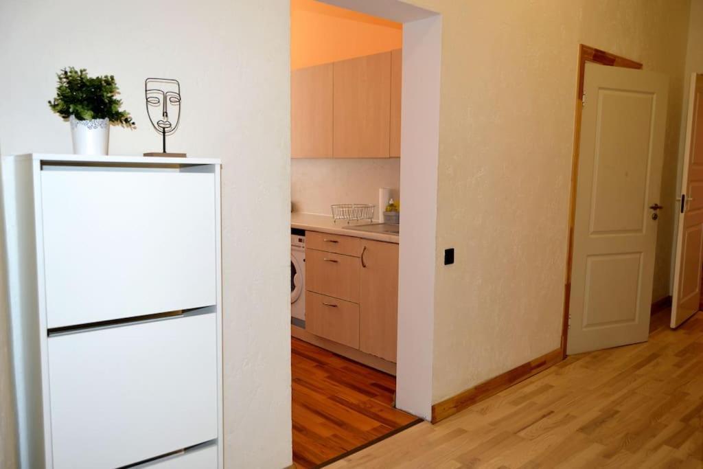 Spacious Old Town Family Peachy 2 Bedrooms Apartment, Nearby The Riga Presidential Castle 外观 照片